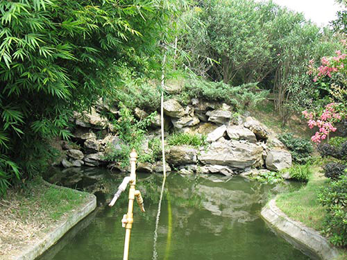 静湖全景